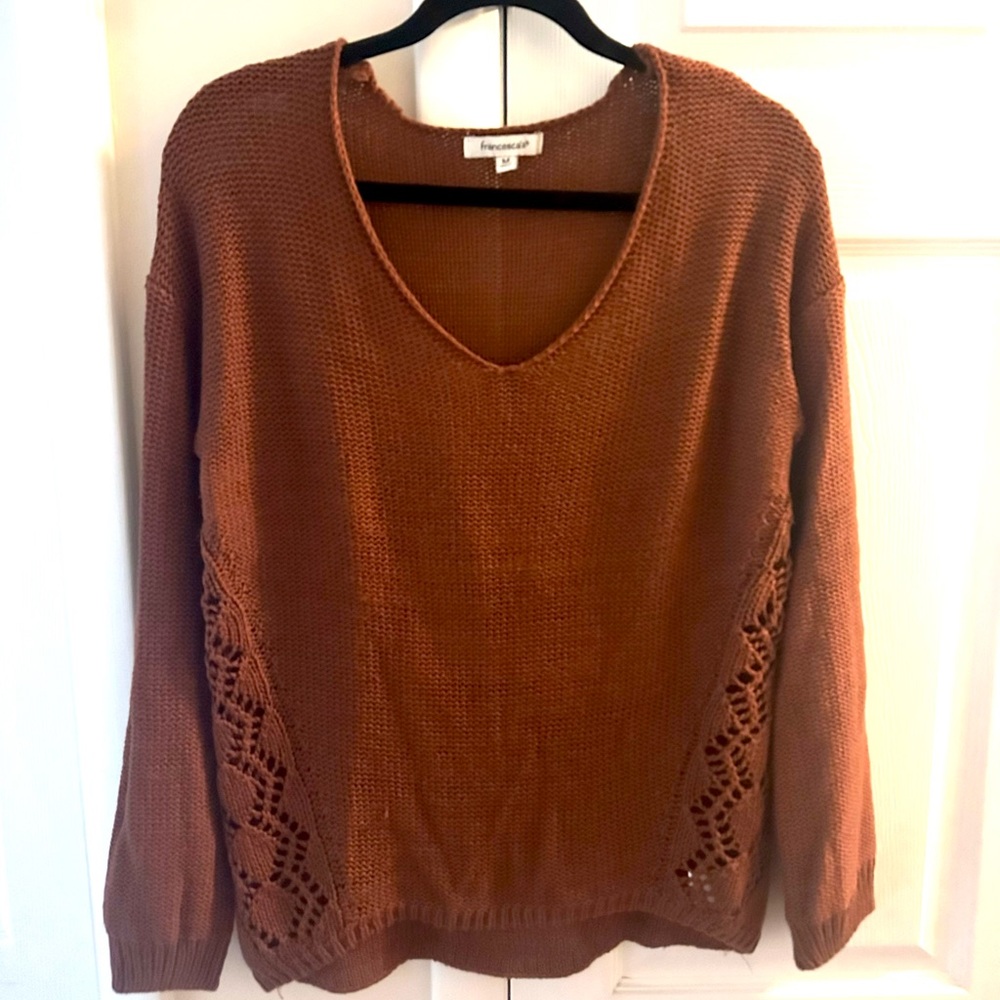 Francesca's Collections Burnt Orange V-Neck Sweater